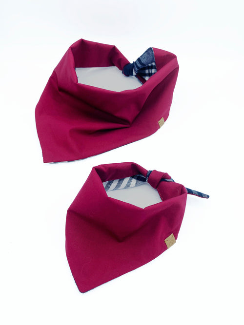 'Bobby' Reversible Pet Bandana