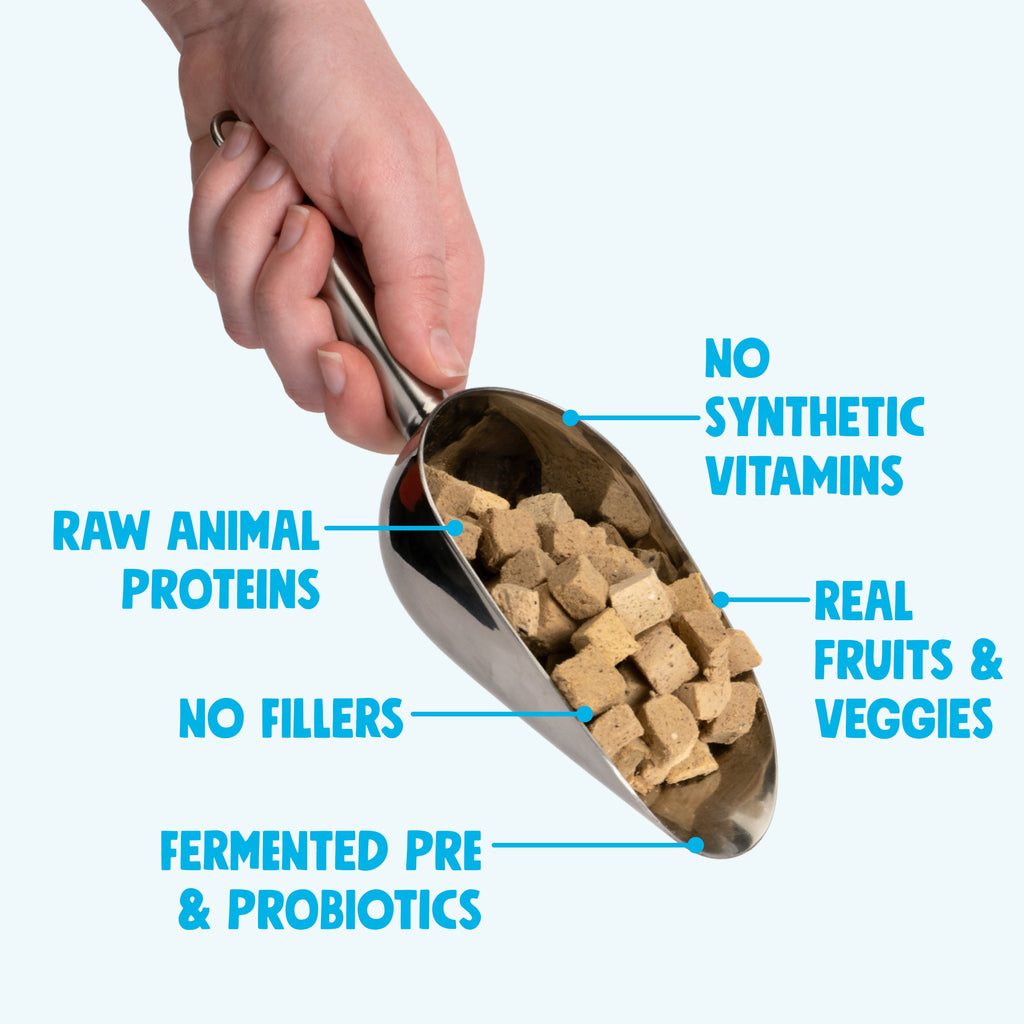 Beef Dog Food Topper